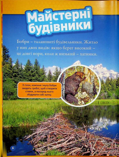 Building Animals / Тварини-будівники Libba Romero / Ліббі Ромеро 9786171600423-4