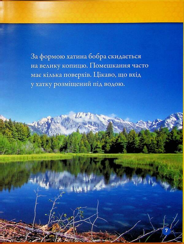 Building Animals / Тварини-будівники Libba Romero / Ліббі Ромеро 9786171600423-5