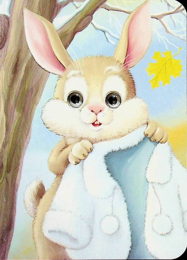 Bunny / Зайчик Владимир Верховень 978-966-989-345-1-4