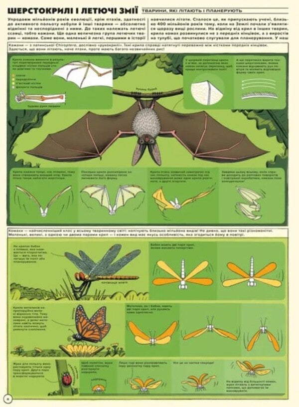 But High! Illustrated History Of Aviation / Але високо! Мальована історія авіації Jacek Ambrozhevsky / Яцек Амброжевський 9789664484272-2