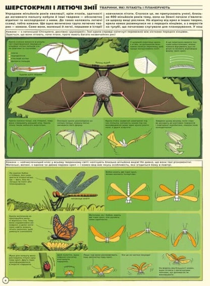 But High! Illustrated History Of Aviation / Але високо! Мальована історія авіації Jacek Ambrozhevsky / Яцек Амброжевський 9789664484272-2
