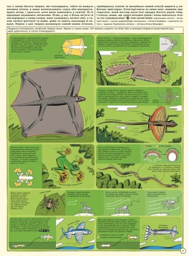 But High! Illustrated History Of Aviation / Але високо! Мальована історія авіації Jacek Ambrozhevsky / Яцек Амброжевський 9789664484272-3