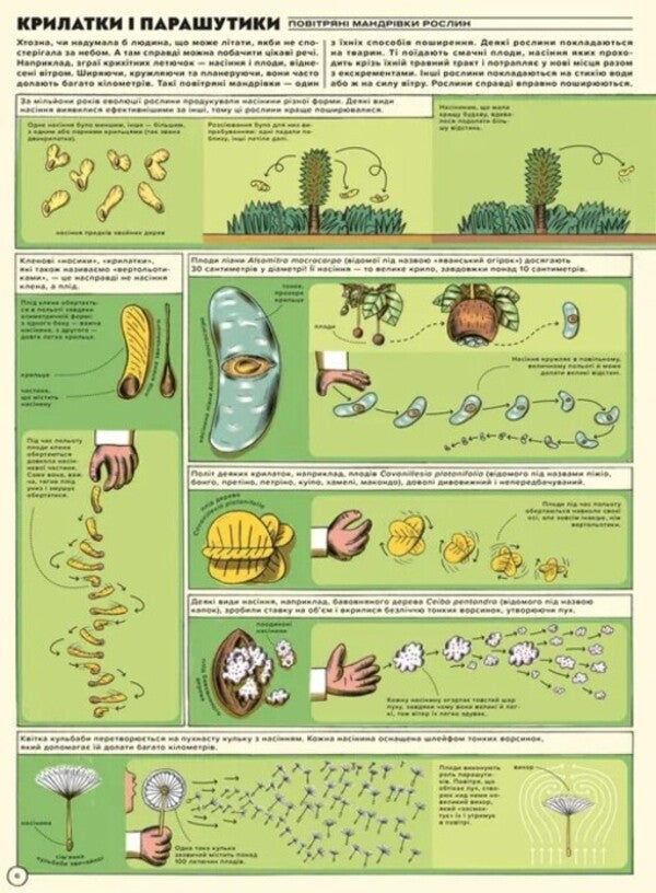 But High! Illustrated History Of Aviation / Але високо! Мальована історія авіації Jacek Ambrozhevsky / Яцек Амброжевський 9789664484272-4