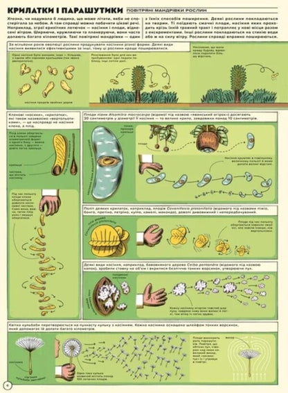But High! Illustrated History Of Aviation / Але високо! Мальована історія авіації Jacek Ambrozhevsky / Яцек Амброжевський 9789664484272-4