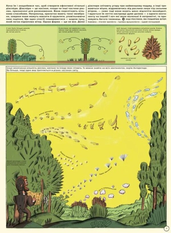 But High! Illustrated History Of Aviation / Але високо! Мальована історія авіації Jacek Ambrozhevsky / Яцек Амброжевський 9789664484272-5