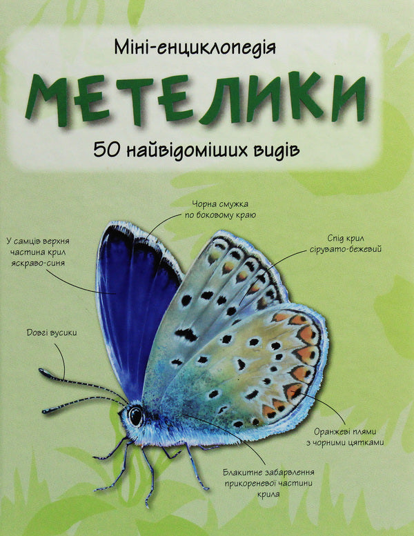 Butterflies50 most famous species: Mini-encyclopedia / Метелики. 50 найвідоміших видів: Міні-енциклопедія  978-966-948-295-2-1