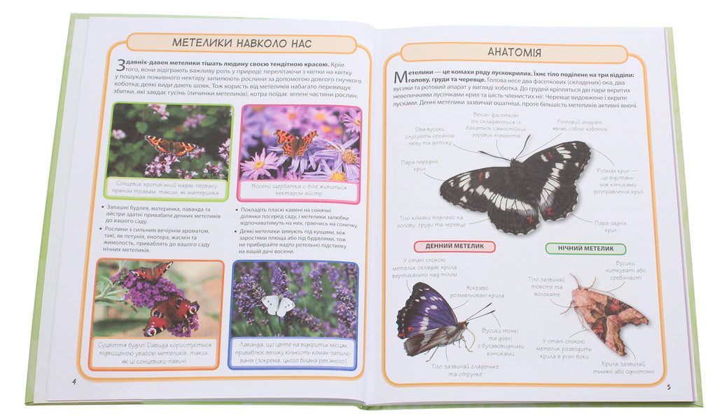 Butterflies50 most famous species: Mini-encyclopedia / Метелики. 50 найвідоміших видів: Міні-енциклопедія  978-966-948-295-2-3