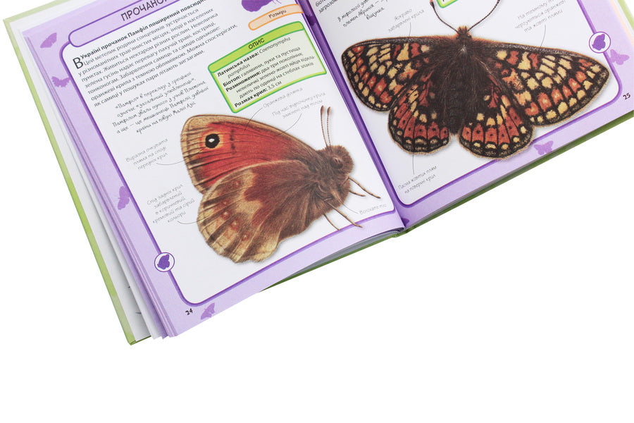Butterflies50 most famous species: Mini-encyclopedia / Метелики. 50 найвідоміших видів: Міні-енциклопедія  978-966-948-295-2-4