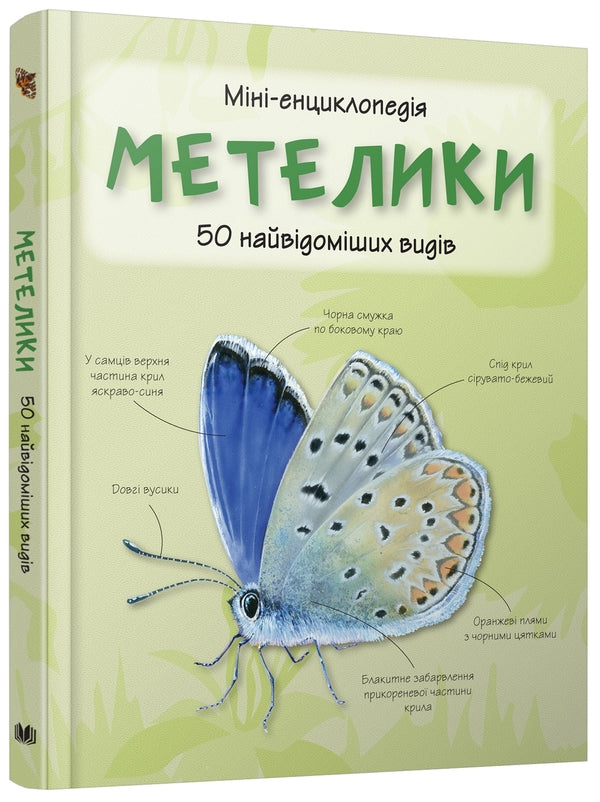 Butterflies50 most famous species: Mini-encyclopedia / Метелики. 50 найвідоміших видів: Міні-енциклопедія  978-966-948-295-2-5