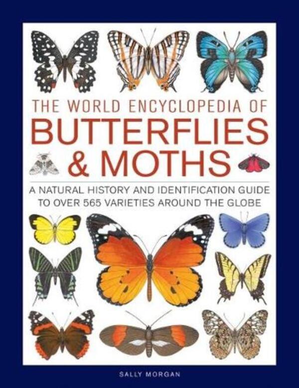 Butterflies & Moths, The World Encyclopedia Of: A Natural History And Identification Guide To Over 565 Varieties Around The Globe Sally Morgan / Салли Морган 9780754834762-1