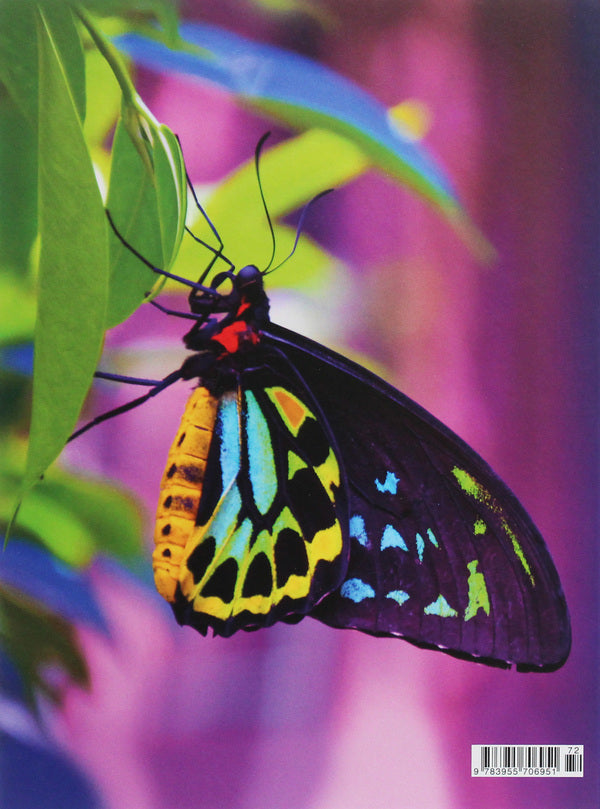 Butterfly / Butterfly  978-3-95570-695-1-2