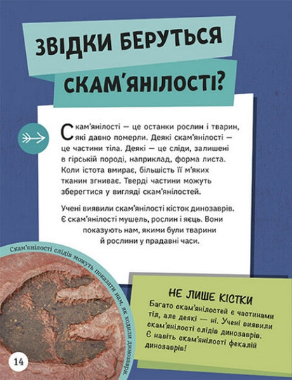 CLOSE QUESTIONS. Encyclopedia of young minds / ДОВКОЛАПИТАНЬ. Енциклопедія юних розумників Нэнси Дикманн 978-617-09-8205-6-2