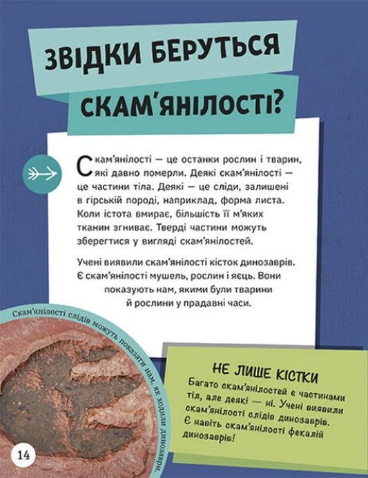 CLOSE QUESTIONS. Encyclopedia of young minds / ДОВКОЛАПИТАНЬ. Енциклопедія юних розумників Нэнси Дикманн 978-617-09-8205-6-2