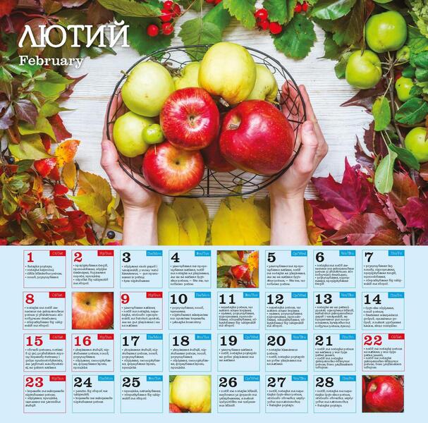 Calendar 2025. Monthly Sowing Calendar / Календар 2025. Місячний посівний календар / Author not specified 9771998595274-5