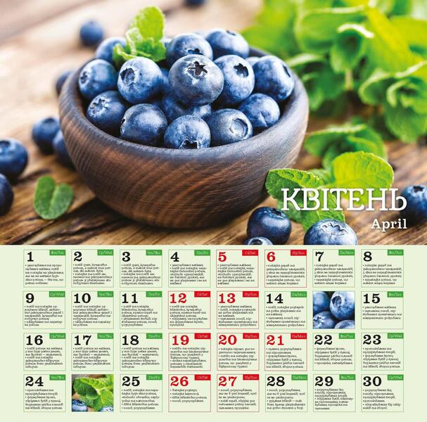 Calendar 2025. Monthly Sowing Calendar / Календар 2025. Місячний посівний календар / Author not specified 9771998595274-6