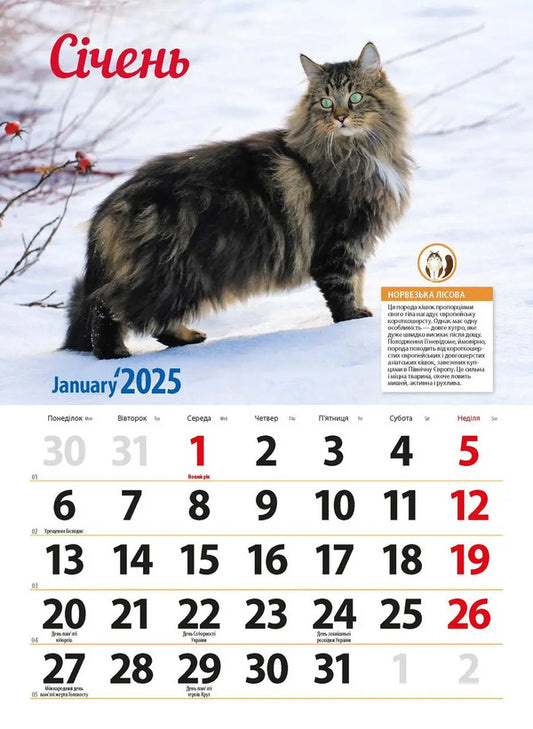 Calendar For 2025. Worldview. Cat Breeds / Календар на 2025. Світовид. Породи кішок / Author not specified 9771995875843-2