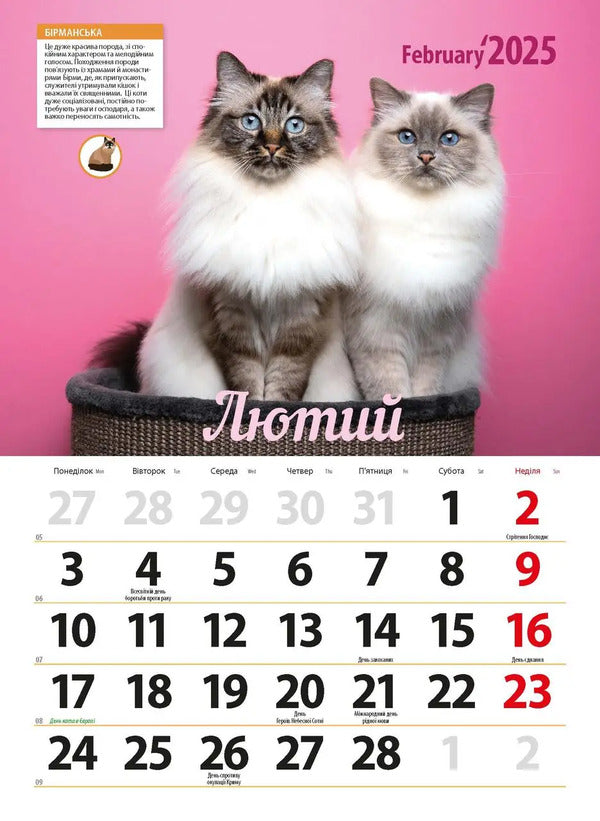 Calendar For 2025. Worldview. Cat Breeds / Календар на 2025. Світовид. Породи кішок / Author not specified 9771995875843-3