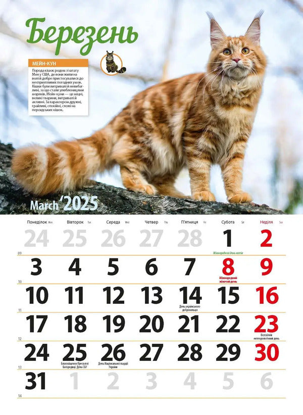 Calendar For 2025. Worldview. Cat Breeds / Календар на 2025. Світовид. Породи кішок / Author not specified 9771995875843-4