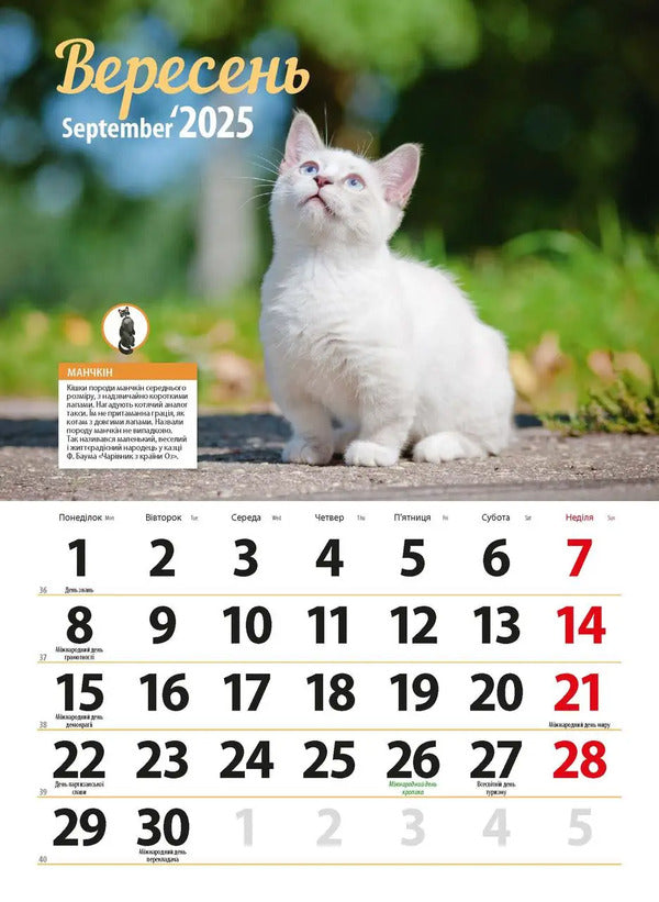 Calendar For 2025. Worldview. Cat Breeds / Календар на 2025. Світовид. Породи кішок / Author not specified 9771995875843-6