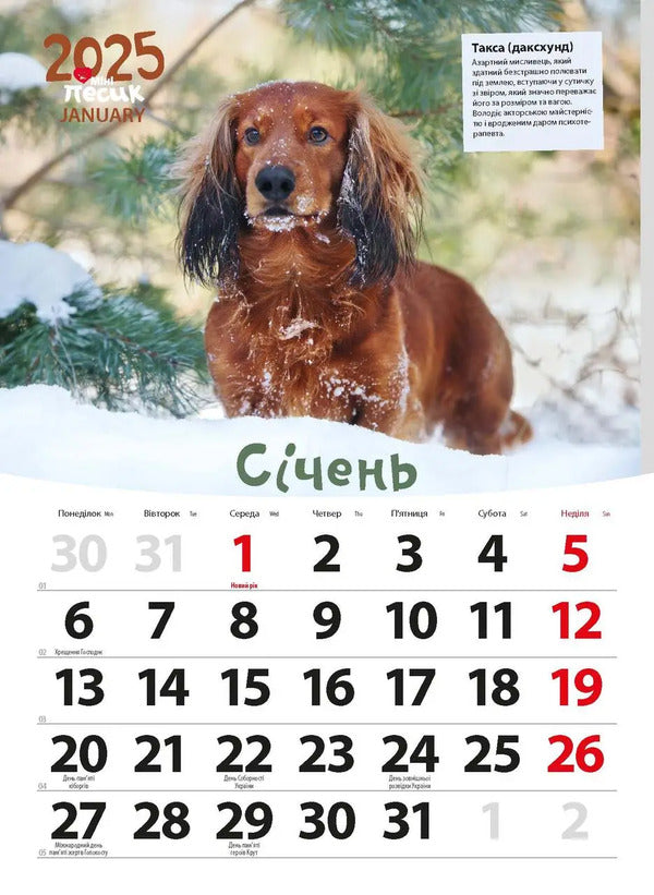 Calendar For 2025. Worldview. Mini Dog / Календар на 2025. Світовид. Міні-песик / Author not specified 9771995875850-3