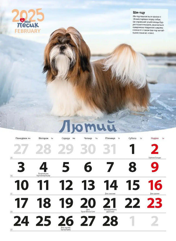 Calendar For 2025. Worldview. Mini Dog / Календар на 2025. Світовид. Міні-песик / Author not specified 9771995875850-4