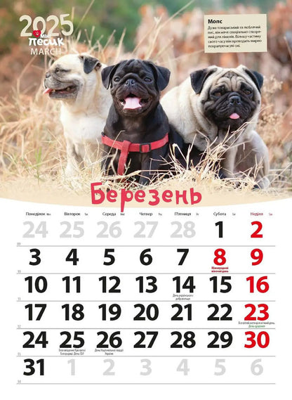 Calendar For 2025. Worldview. Mini Dog / Календар на 2025. Світовид. Міні-песик / Author not specified 9771995875850-5