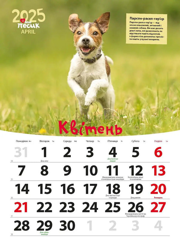 Calendar For 2025. Worldview. Mini Dog / Календар на 2025. Світовид. Міні-песик / Author not specified 9771995875850-6