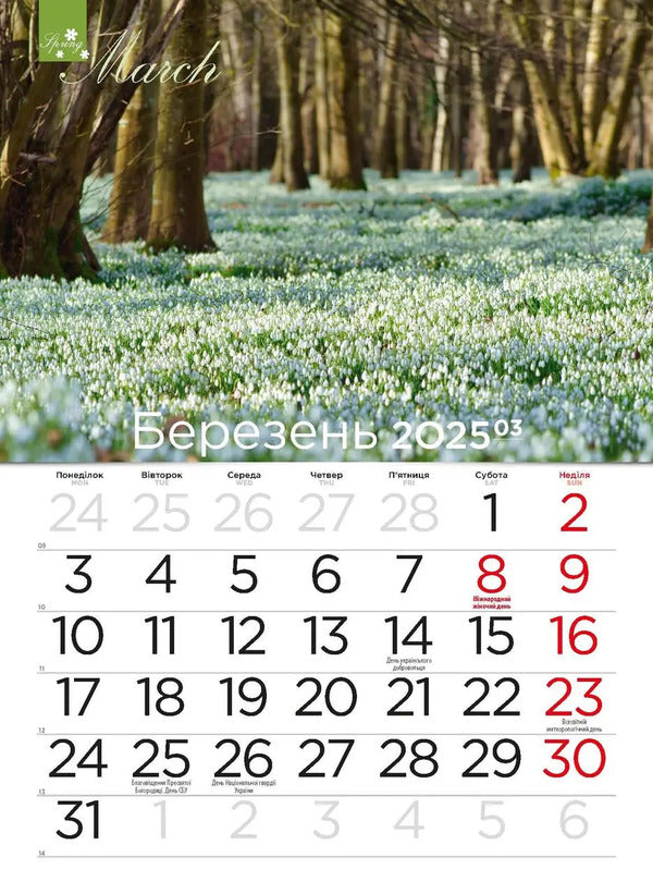 Calendar For 2025. Worldview. Seasons Of The Year / Календар на 2025. Світовид. Пори року / Author not specified 9771995875867-4