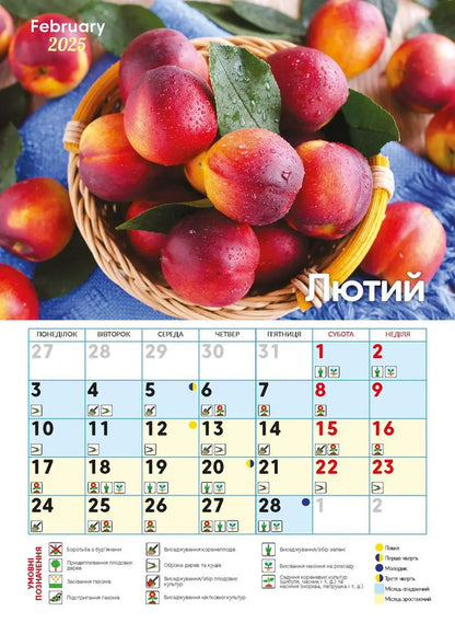 Calendar For 2025. Worldview. Sowing Calendar / Календар на 2025. Світовид. Посівний календар / Author not specified 9771995875881-2