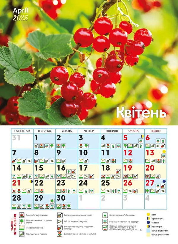 Calendar For 2025. Worldview. Sowing Calendar / Календар на 2025. Світовид. Посівний календар / Author not specified 9771995875881-4