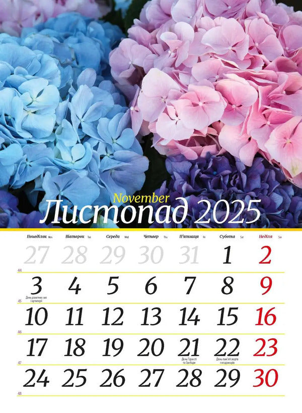 Calendar For 2025. Worldview. The Beauty Of Flowers / Календар на 2025. Світовид. Краса квітів / Author not specified 9771995875874-6