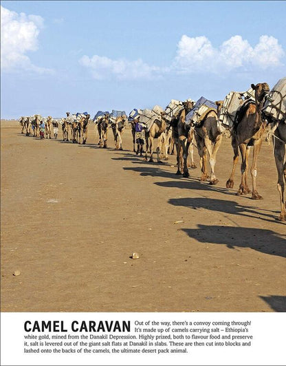 Cars Trains Ships And Planes / Author not specified 9781409348504-5