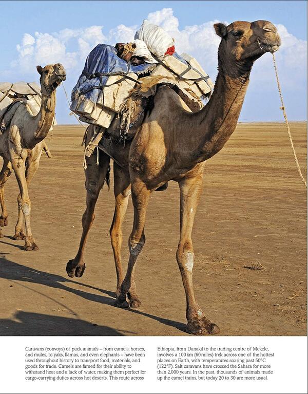 Cars Trains Ships And Planes / Author not specified 9781409348504-6