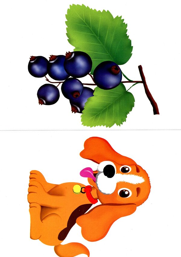 Cash register of letters. English. (46 cards). / Каса букв. English.  (46 карток).  -5