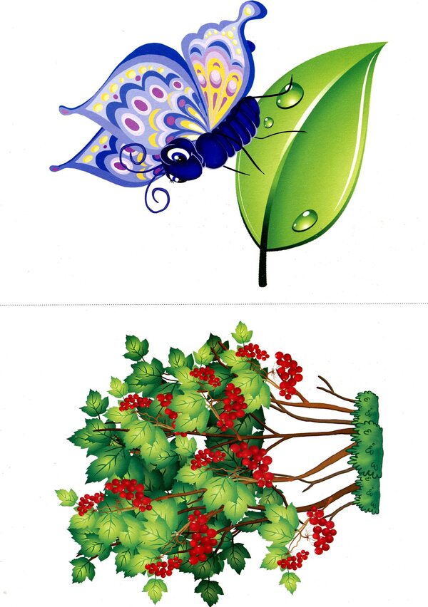 Cash register of transcription signs. English. (46 cards). / Каса транскрипційних знаків. English. (46 карток).  -4