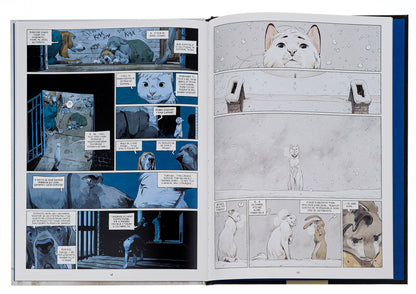 Castle of animals. Book 2. Winter daisies / Замок тварин. Книга 2. Зимові маргаритки Ксавье Дорисон 978-617-8109-87-5-6