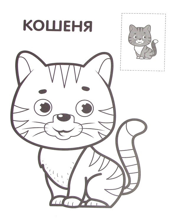 Cat. Paste and paint / Кіт. Наклей та розфарбуй  978-966-440-369-3-4