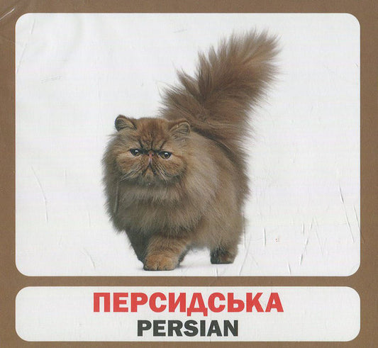 Cats. Set Of Cards / Коти. Набір карток / Author not specified 9789669751874-2