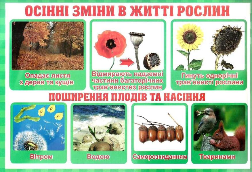 Changes. The teacher's portfolio. Didactic materials. 2nd class / Зміни. Тека вчителя. Дидактичні матеріали. 2 клас Ирина Волошина 4823076147921-3