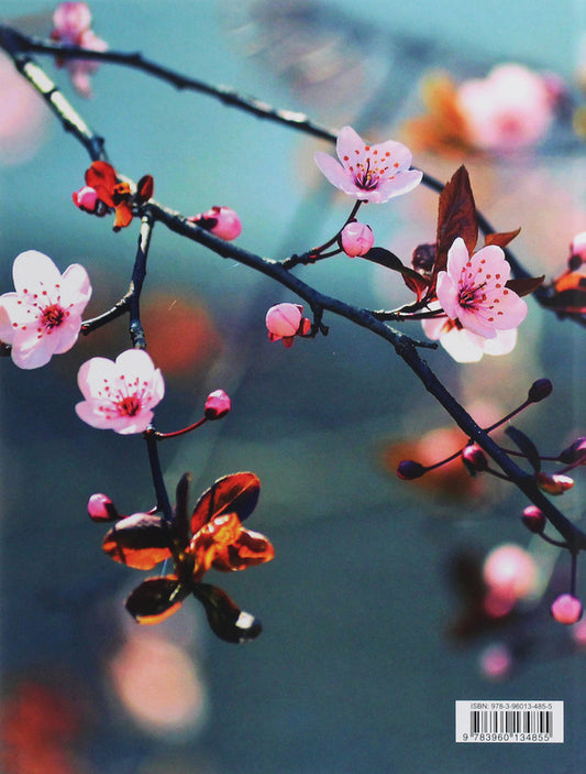 Cherry Blossoms / Cherry Blossoms  978-3-96013-485-5-2