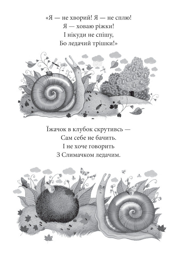 Chicken from the backyard. Tales of Hanna Chubach / Пір’ячко з подвір’ячка. Казки Ганни Чубач Анна Чубач 978-966-03-9210-6-6