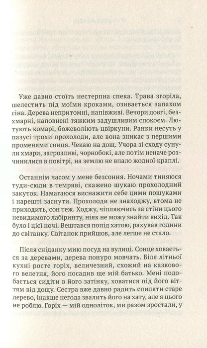 Chicory flowers / Квіти цикорію Ольга Лилик 978-966-580-542-7-3