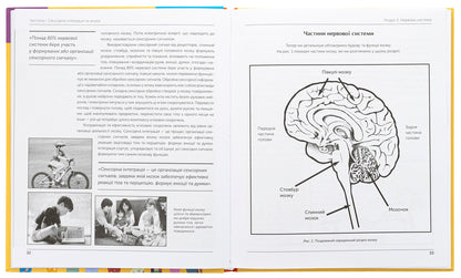 Child and sensory integration / Дитина і сенсорна інтеграція Энн Джин Айрес, Джефф Роббинс 978-617-7840-68-7-5