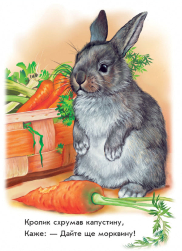 Children about animals. Next to us / Малятам про звіряток. Поруч з нами Олеся Квитка 9789667501051-3