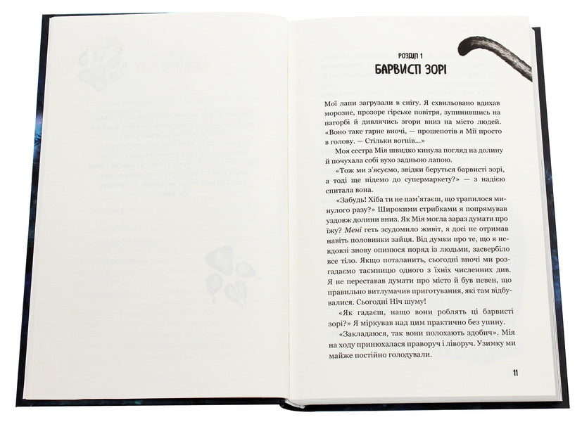 Children of the forest. Book 2. Dangerous friendship / Діти лісу. Книга 2. Небезпечна дружба Катя Брандис 978-966-993-253-2-4