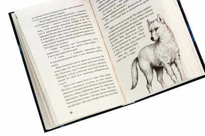 Children of the forest. Book 2. Dangerous friendship / Діти лісу. Книга 2. Небезпечна дружба Катя Брандис 978-966-993-253-2-5