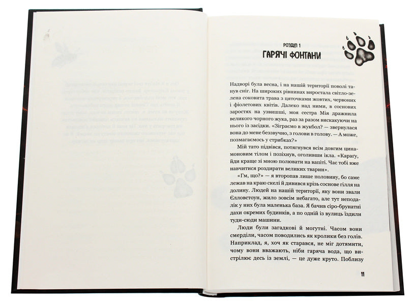 Children of the forest. Book 3. Holly's secret / Діти лісу. Книга 3. Таємниця Голлі Катя Брандис 978-966-993-277-8-4