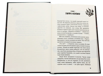 Children of the forest. Book 3. Holly's secret / Діти лісу. Книга 3. Таємниця Голлі Катя Брандис 978-966-993-277-8-4