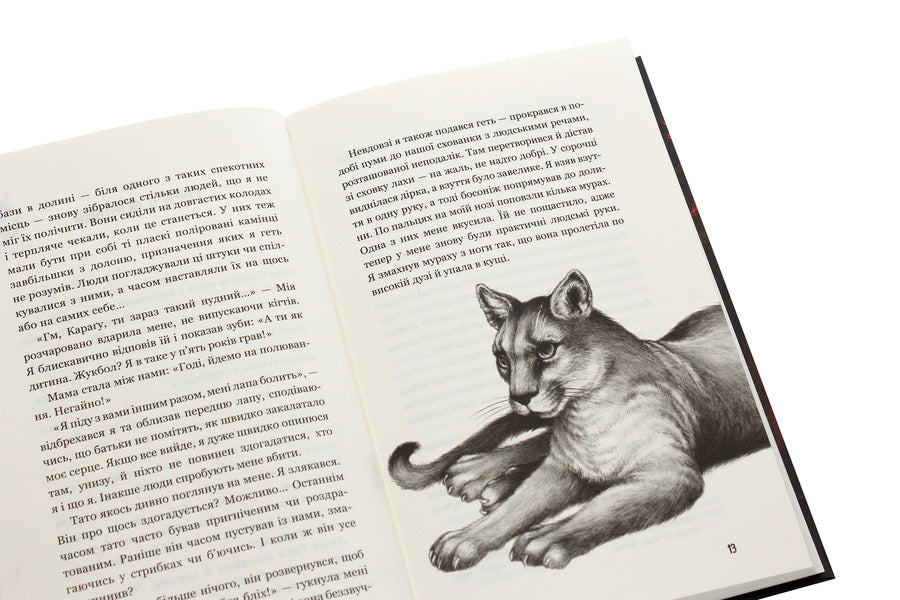 Children of the forest. Book 3. Holly's secret / Діти лісу. Книга 3. Таємниця Голлі Катя Брандис 978-966-993-277-8-6