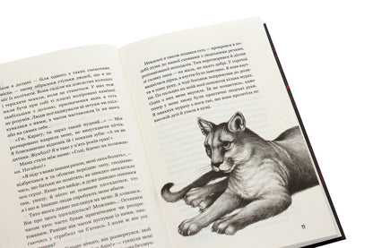 Children of the forest. Book 3. Holly's secret / Діти лісу. Книга 3. Таємниця Голлі Катя Брандис 978-966-993-277-8-6